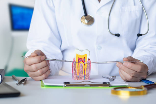 Best Emergency Dental Extractions in Los Altos Hills, CA
